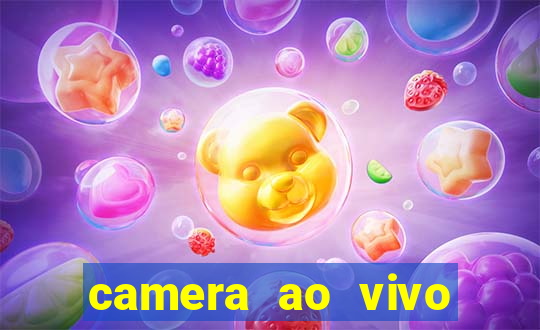 camera ao vivo terminal vila nova cachoeirinha